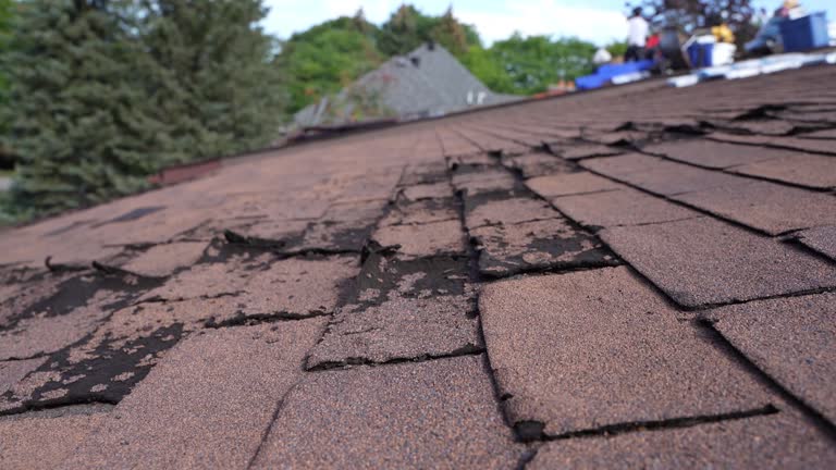 Best Sheet Metal Roofing  in Lincolnwood, IL
