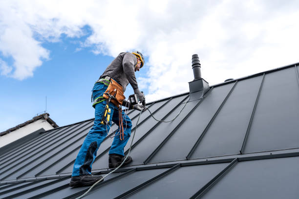 Best Solar Panel Roofing Installation  in Lincolnwood, IL